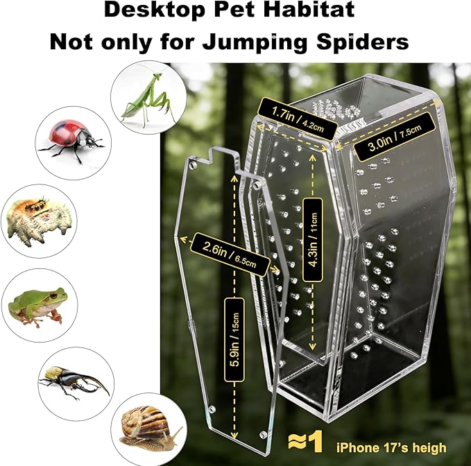 Jumping Spider Enclosure,Acrylic Magnetic Terrarium with Water Feeder and Star Hide,Terrarium Kit for Tarantulas Snails 5.9x2.6x3 Inches 6PCS(Purple)