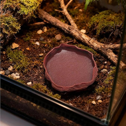 1 PCS Spider Micro Water Bowl Jumping Spider Feeding Dish Tarantula Water Dish for Millipede Gecko Lizard Tarantula Tiny Reptiles (2.17" D, 0.31" H) Brown
