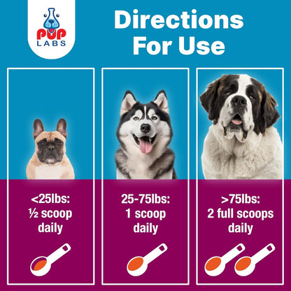 K9 Belly Bliss, All-Natural Gut Health for Dogs, Vet Approved Prebiotic for Dogs for Daily Digestive Support & Dog Constipation Relief, Topper for Dry & Wet Food, 6 Pack with 30 Scoops Each.