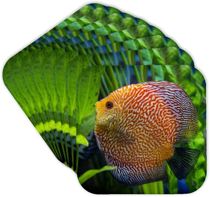 3dRose Super Pigeon Snakeskin Discus, Tropical Freshwater Fish Set of 8 Coasters - Cork