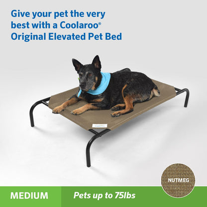 Coolaroo Original Elevated Dog Bed - Breathable Off-The-Ground Pet Bed with Cooling Fabric, Joint Relief & Moisture-Resistant Fabric, 100% Recyclable, Easy Clean, Nutmeg, Medium