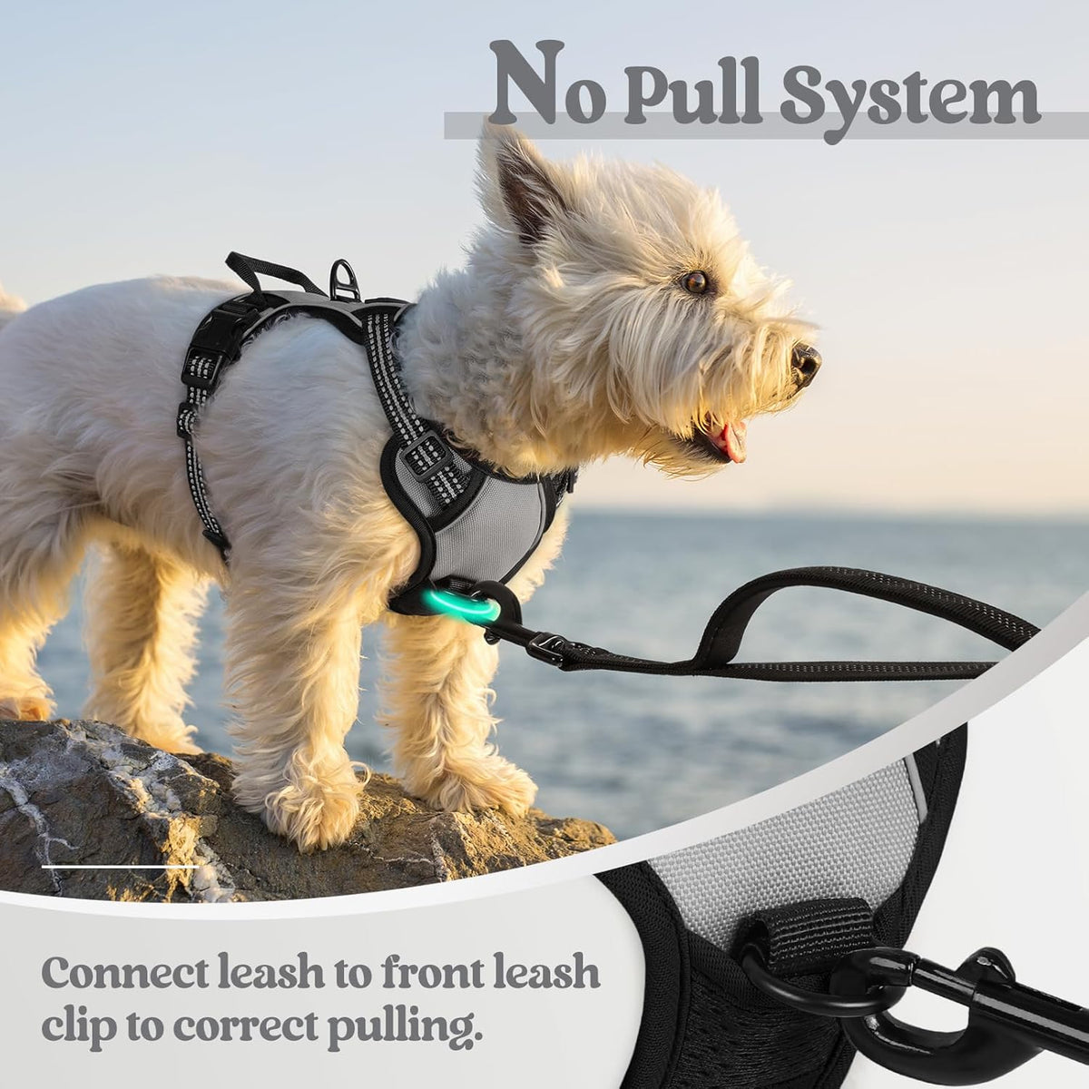 rabbitgoo Dog Harness No Pull with 2 Leash Clips, Adjustable Soft Padded, Reflective Oxford No Choke Pet Vest with Easy Control Handle for Puppy, Grey, XS