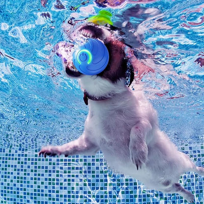 2025 New Dog Ball for Large Dogs, 2PCS Interactive Dog Ball Toy Vibrating Balls, Smart Shaking Pet Bounce Electric Balls Automatic Moving Pet Toy for All Dogs (#B2)