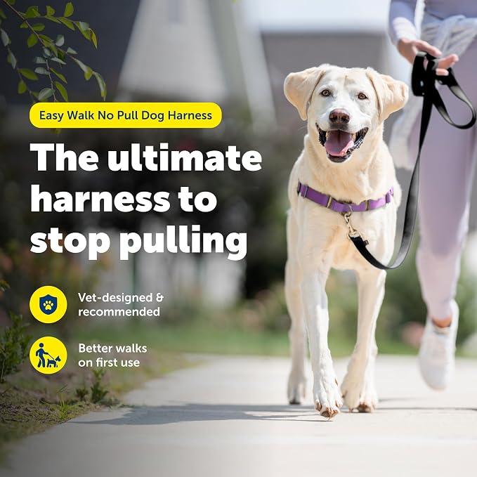 PetSafe Easy Walk Harness, No Pull Dog Harness, Deep Purple, Large | Patented Martingale Loop Gives Gradual Shoulder Pressure to Stop Pulling, Front-Chest Leash Clip Prevents Gagging