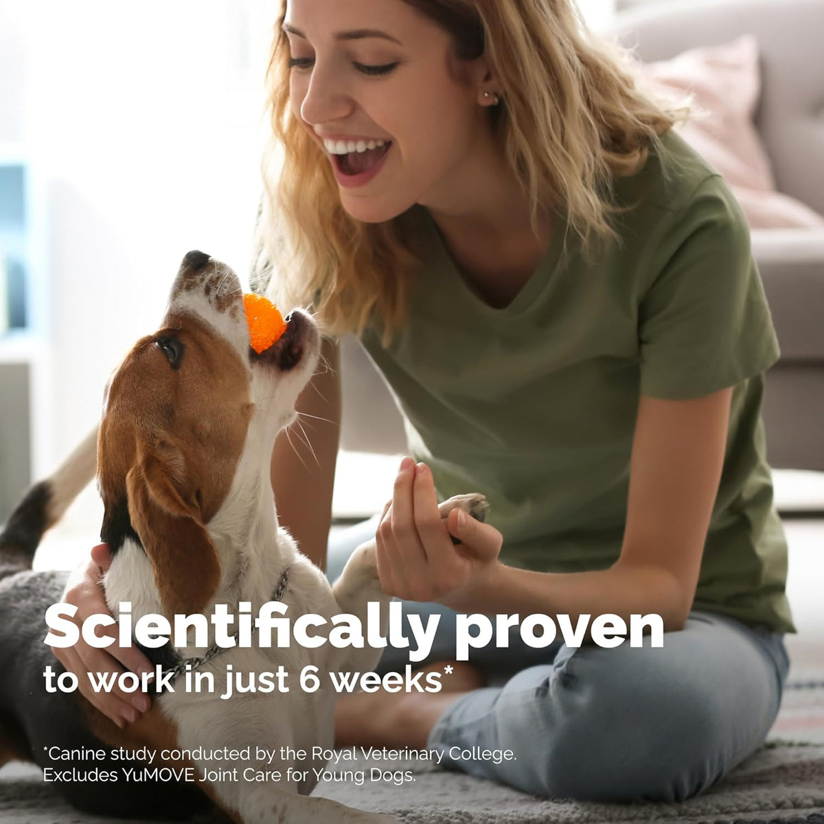 Yumove Hip & Joint Supplement for Dogs. Everyday comfort that fits naturally into your space.