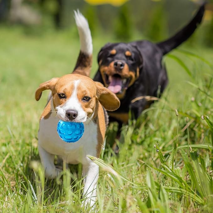 3'' Squeaky Dog Toy Balls for Lagre Medium Breed, Indestructible Dog Balls for Playing, Fetching & Retrieving, Durable Aggressive Chewers, 2 PCS Blue+Purple