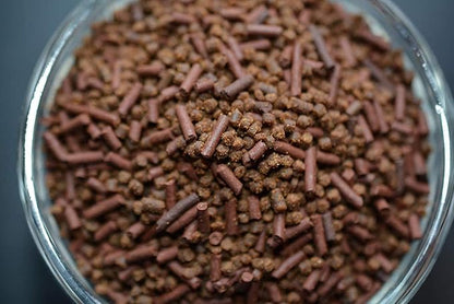 S&C AQUATICS MINI Beefheart & Soft BIT Mix,Beef Heart,Discus Food,Angel Fish Food,Cichlids (1oz Sample) A8