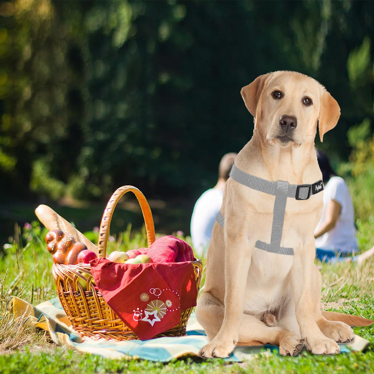 PUPTECK No Pull Dog Harness Soft Adjustable Basic Nylon Step in Puppy Vest Outdoor Walking with ID Tag, Grey, M