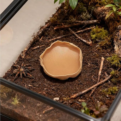 1 PCS Spider Micro Water Bowl Jumping Spider Feeding Dish Tarantula Water Dish for Millipede Gecko Lizard Tarantula Tiny Reptiles (2.17" D, 0.31" H) Brown