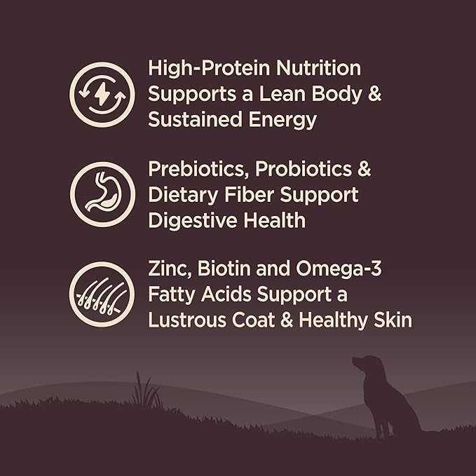Wellness CORE Dry Dog Food, Grain-Free, High Protein, Natural, Ocean Whitefish, Herring, & Salmon Recipe, (26-Pound Bag)