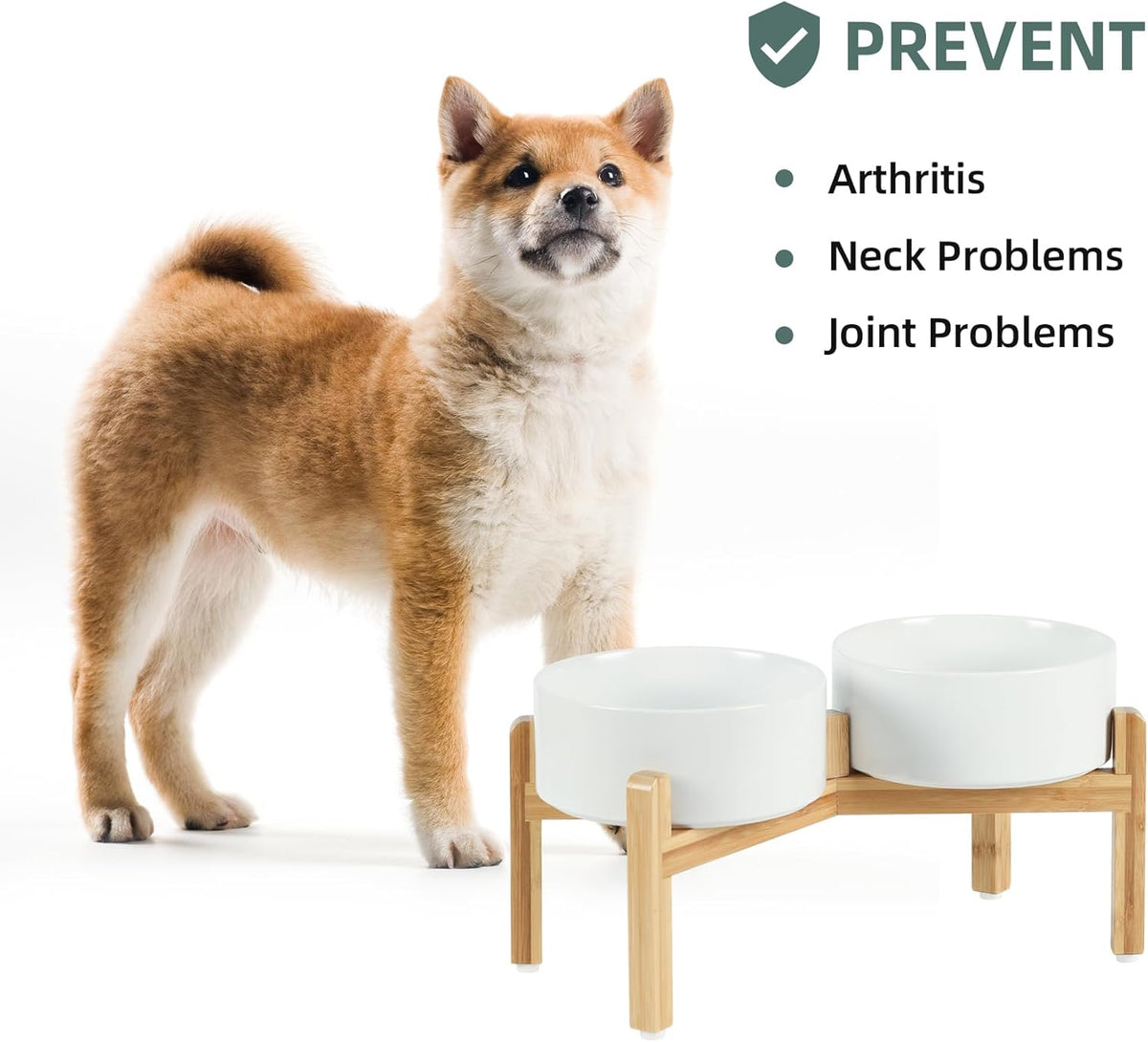 Ceramic Raised Double Bowls Set with Stand. A calm, considered pick for modern pet homes.