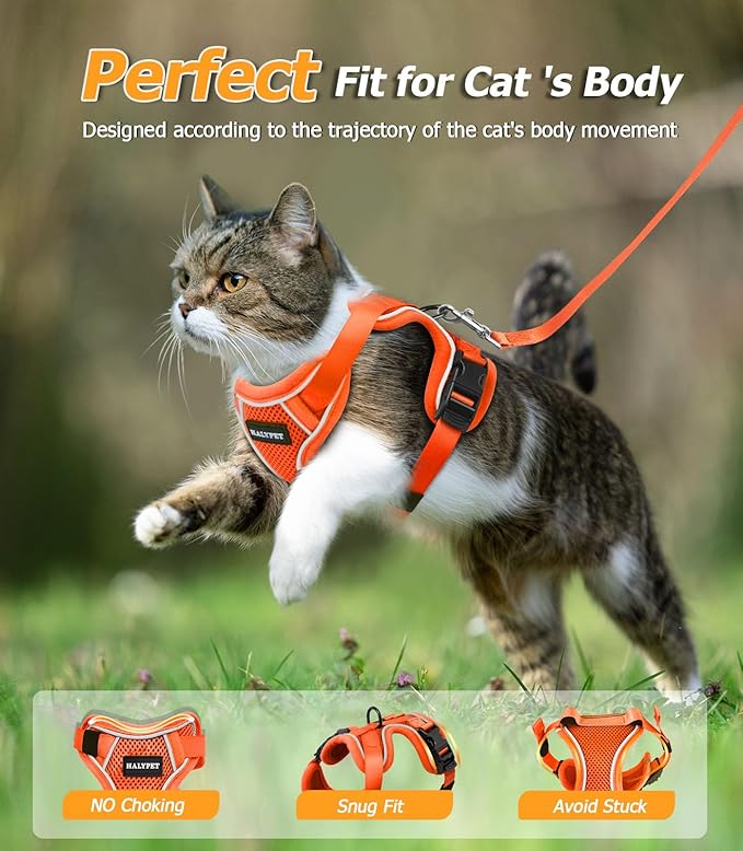 Halypet Cat Harness and Leash Set [MAX Safety 4th-Gen Upgrade] Escape Proof Adjustable Cat Leash Comfortable Soft Vest Easy to Wear Kitten Harness with Reflective Strip for Cats Walking, S Orange