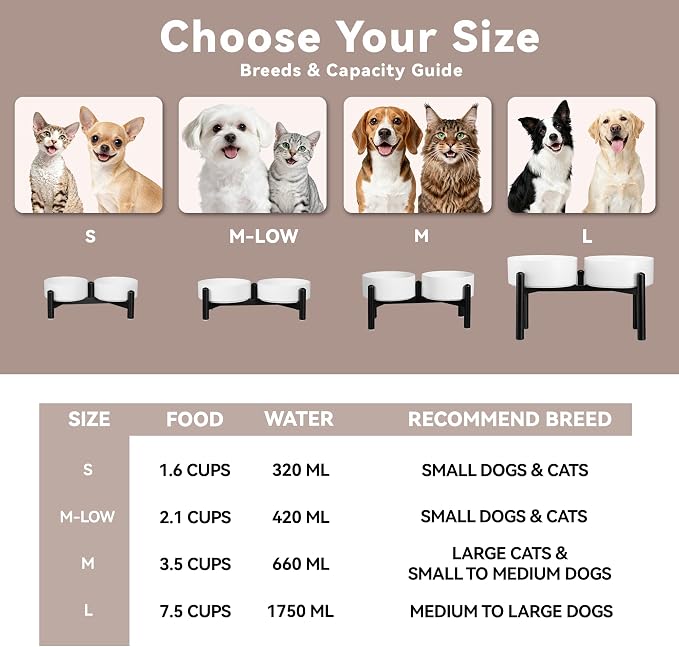 Raised Ceramic Dog Bowl Set with Stand, 7.5 Cups Elevated Dog Food Stand | 8.4'' Double Dog Food and Water Bowl Set, Non-Slip Dog Feeding Dishes for Small Breeds and Cats, 59.2 OZ, White