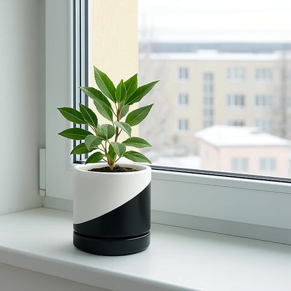 D'vine Dev 4.7 Inch Ceramic Planter Pot, Black White Diagonal, 94-O-B-K | Modern Cylinder Design, Drainage Hole & Saucer Included, Stable Structure, Elegant Home Accent