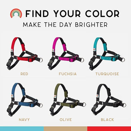 No Pull Dog Harness | Comfortable Dog Training Harnesses | Effective No Pull Harness Design | Ideal Dog Harness for Small Dog and Puppy | 4-Point Adjustable (S - 18~24 inch Girth, Black)