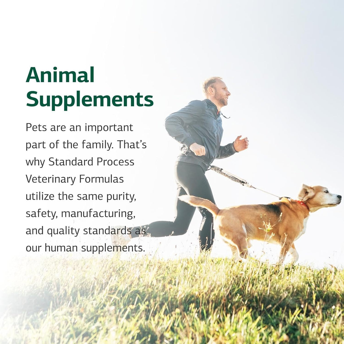 Standard Process Inc. Canine Whole Body Support - Multisystem Support Supplement for Canines - Nutritional Powder for Daily Health Maintenance - Multisystem Supplement Formula - 25 g