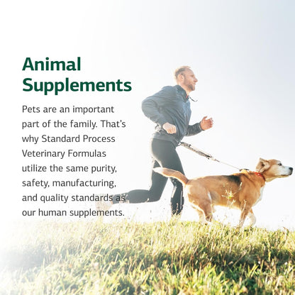 Standard Process Inc. Canine Whole Body Support - Multisystem Support Supplement for Canines - Nutritional Powder for Daily Health Maintenance - Multisystem Supplement Formula - 25 g