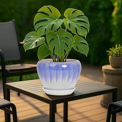 Deep Dream 8 Inch Plant Pots- Ceramic Pots for Plants with Drainage Hole and Saucer, Large Planter Pot for Indoor Plants Outdoor Decor, White&Blue