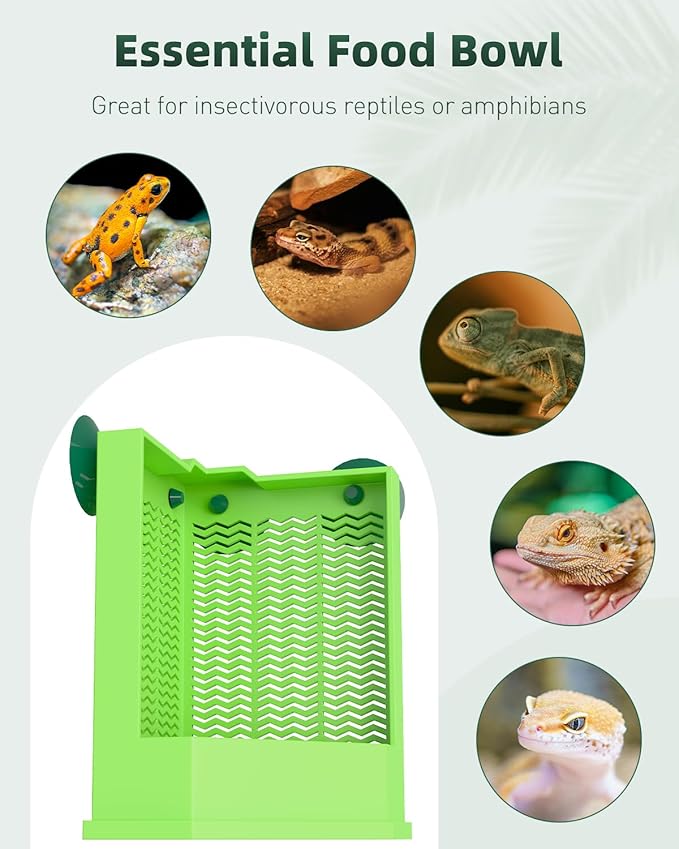 Pawfly Reptile Feeder Bowl - Escape-Proof Corner Hunting Dish, Wall-Mounted Insect Feeder for Bearded Dragons, Chameleons, Geckos, Frogs & Lizards with Suction Cups