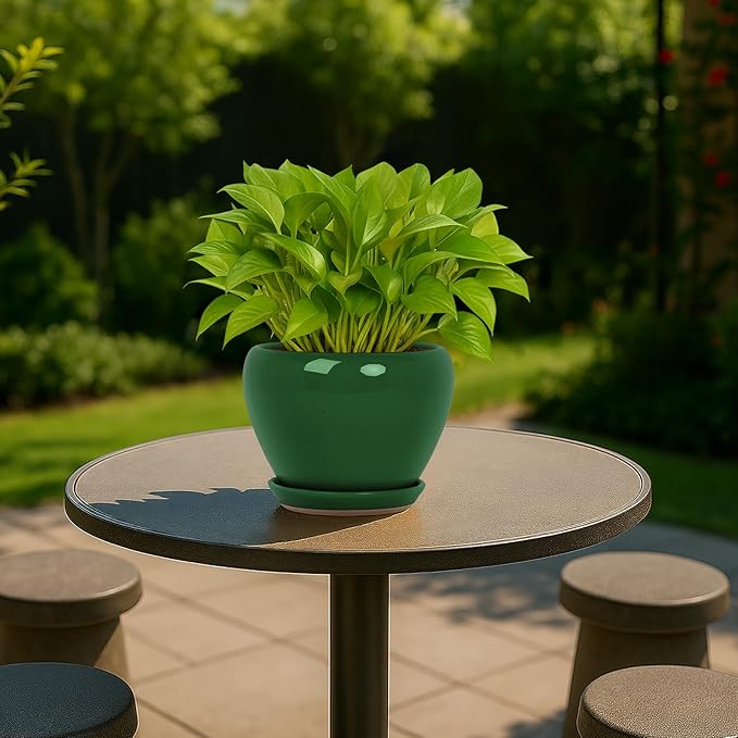 Deep Dream 6 Inch Plant Pots- Ceramic Planter Pot with Drainage Hole and Saucer, Round Flower Pot for Indoor Outdoor Succulent, Snake Plants and Cactus, Green