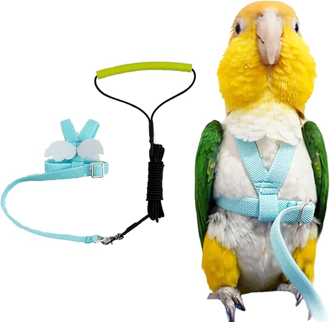 Pet Parrot Bird Harness Leash Adjustable Bird Flying Harness Traction Rope with Cute Wing for Parrots Pigeons Budgerigar Lovebird Cockatiel Mynah Outdoor Training Toy (S, Blue)