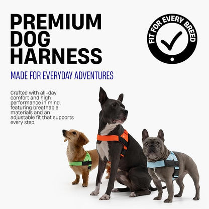 Dog Friendly Co. Dog Harness for Small Dogs (Red, Extra Small) | One Click Buckle, Chafe Resistant Webbing, Adjustable Neck & Chest, and Heavy Duty D-Ring, Sturdy Comfortable and Easy to Use