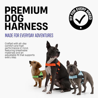 Dog Friendly Co. Dog Harness for Small Dogs (Sky Blue, XXSmall) | One Click Buckle, Chafe Resistant Webbing, Adjustable Neck & Chest, and Heavy Duty D-Ring, Sturdy Comfortable and Easy to Use