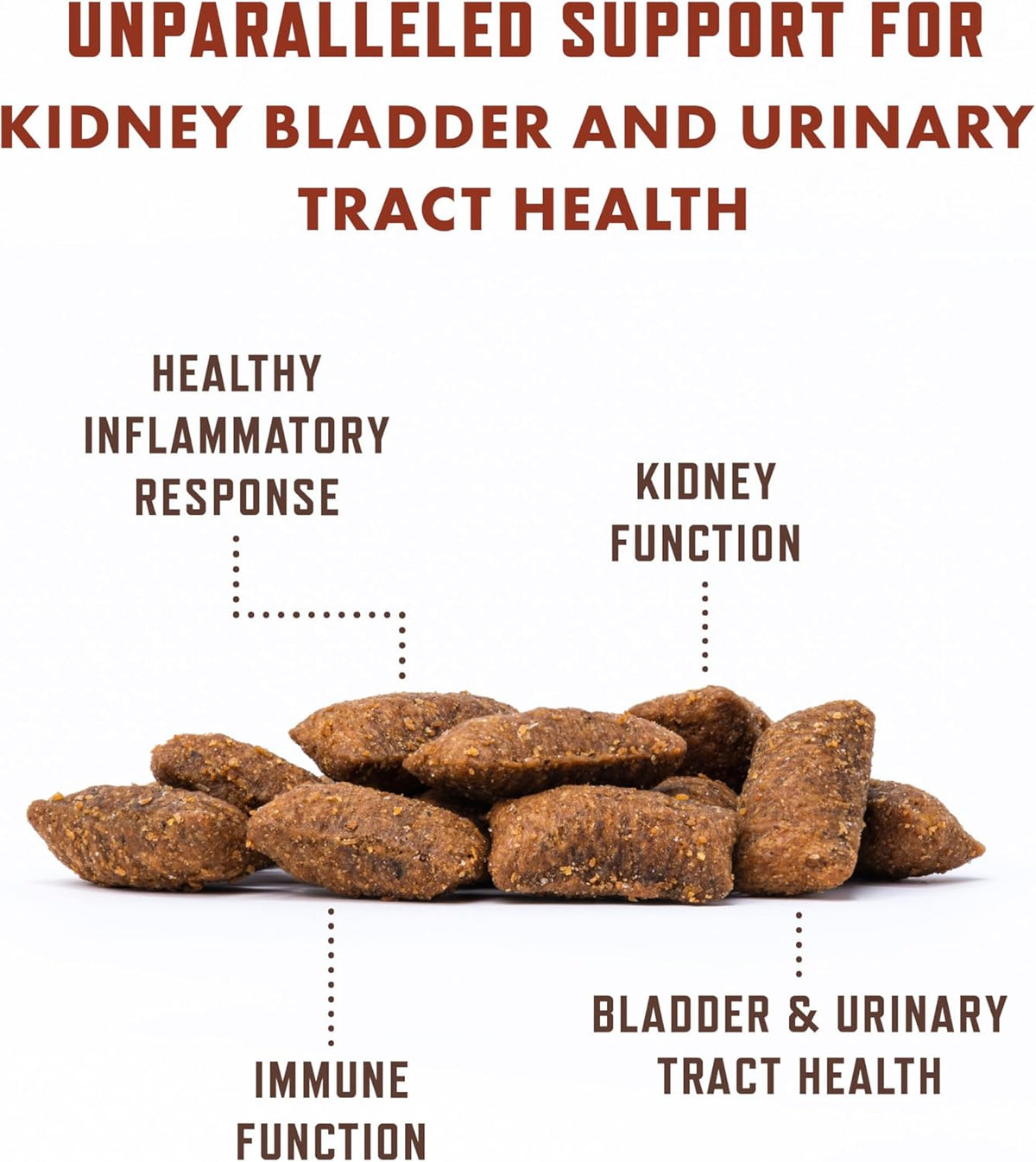 Rocco & Roxie Cat Urinary Tract Health Supplement, Cranberry and D-Mannose for Kidney, Bladder, and UT Support, Vet Recommended Chicken Flavored Crunchy Chews Cats Love, Made in USA