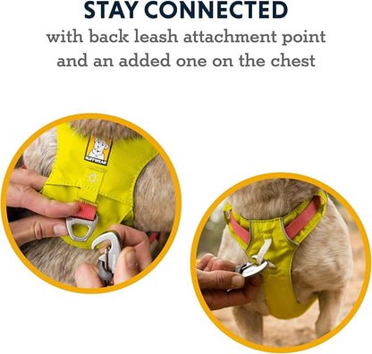 Ruffwear, Hi & Light, Everyday Lightweight Dog Harness, Trail Running, Walking, Hiking, All-Day Wear, Sage Green, XX-Small