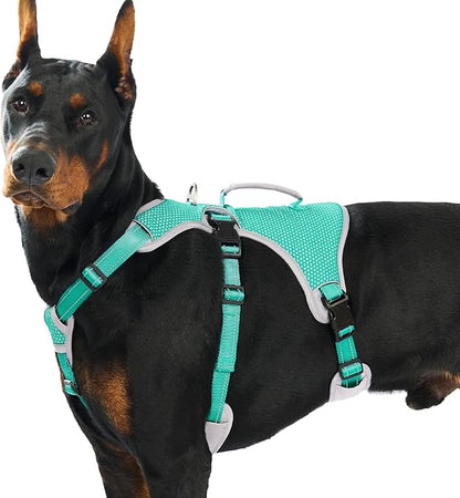 Escape Proof Dog Harness, Dachshund Harness, Reflective Dog Harness with Handle, Durable,Adjustable Vest for Small Medium Large Dogs Walking, Training, and Running Gear (Mint Green,XL)
