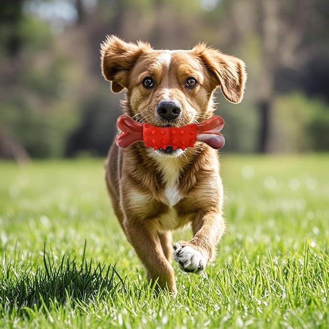 Dog Toys for Aggressive Chewers, Tough Indestructible Dog Chew Toys, Durable Nylon & Rubber Teething Toys for Large Medium Breed, Bone Shape