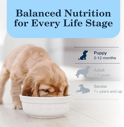 Blue Buffalo Homestyle Recipe Puppy Wet Dog Food, Made with Natural Ingredients, Chicken Dinner with Garden Vegetables & Brown Rice, 12.5-oz Cans (12 Count)