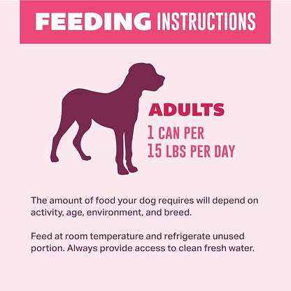 Your Pet's Kitchen Wet Dog Food Cups, Beef Recipe - 3.5 oz Cups (Pack of 12), Made in The USA with Real Beef