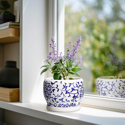 SQOWL 6 Inch Planter - Ceramic Plant Pots Indoor with Drainage Hole and Saucer, Round Ceramic Flower Pot Outdoor, Porcelain Decorative Planter, Backyard Decor, Gifts for Plant Lovers, Blue and White