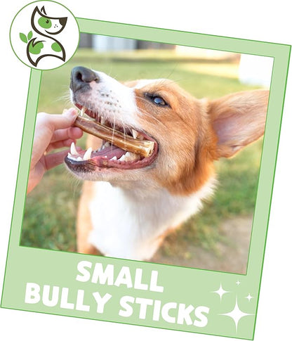 Nature Gnaws Small Bully Sticks for Dogs 5-6" (15 Count) - Long Lasting for Light Chewers and Puppies - Natural Thin Beef Dog Chew Bones - Rawhide Free