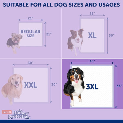 Hartz Home Protection Lavender Scent Odor Eliminating Dog Pads, 3XL, 60ct | Thicker Quilted, Super Absorbent, Quick Drying, No Leaks, No Odors, FlashDry Technology