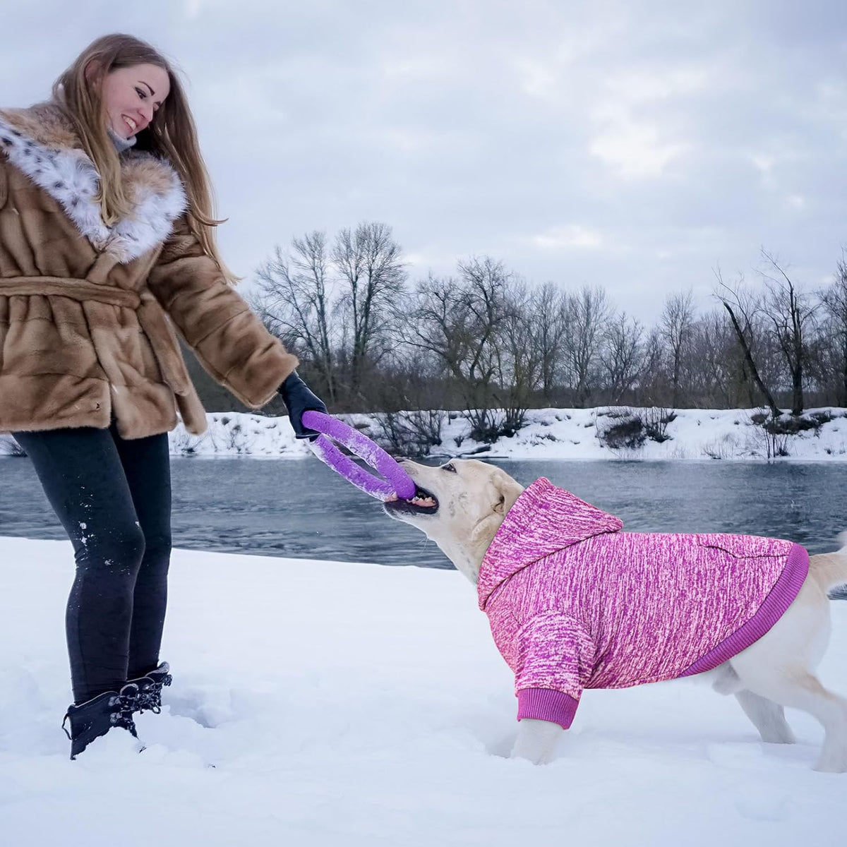 Dog Sweaters for Large Dogs Dog Hoodie Fleece Sweater Soft Clothes Sweatshirt with Pocket Hoodie for Large Dogs(Purple&XXL)