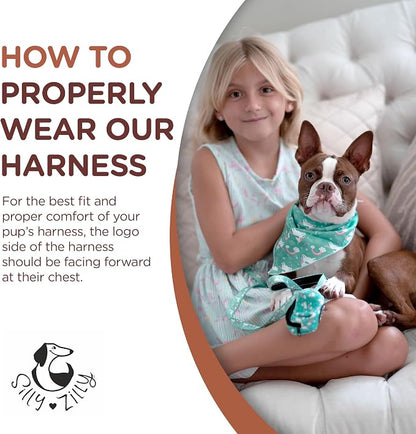 No Pull Harness and Leash Set - 6-in-1 Adjustable Vest Harness and Collars for Medium and Large Dogs. (Tile Unicorn, Extra Small)