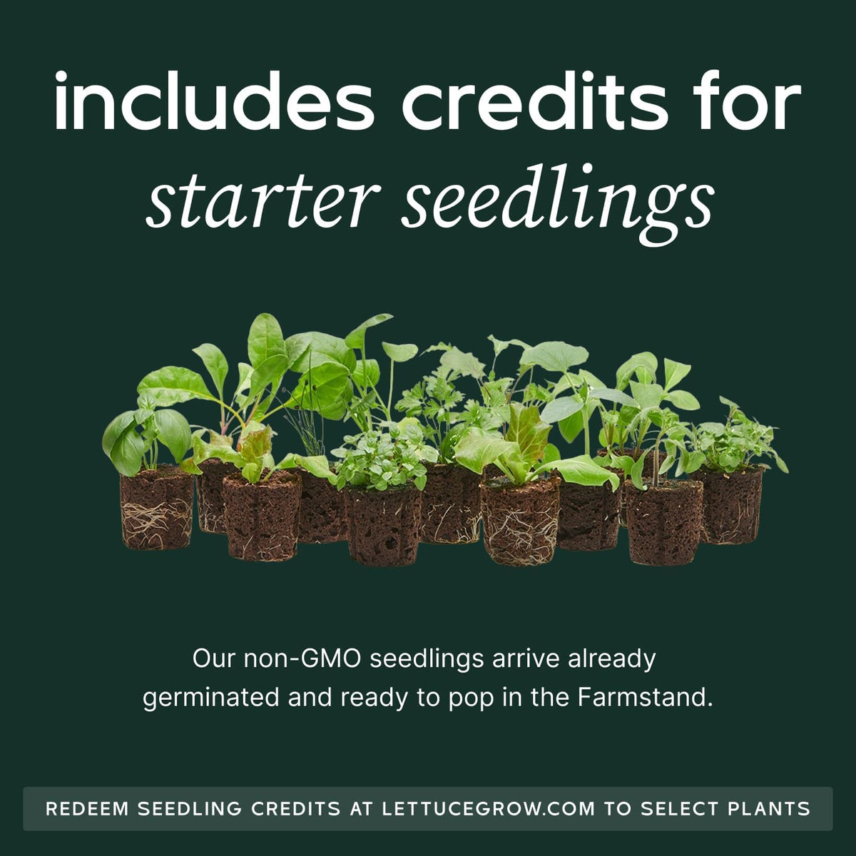Farmstand Starter Kit + 24 Seedling Credit | Medium Hydroponic Growing System Kit | Self-Watering Outdoor Vertical Garden Planter Tower | 4ft 10in | Made in USA
