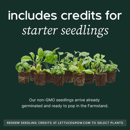 Farmstand Starter Kit + 24 Seedling Credit | Medium Hydroponic Growing System Kit | Self-Watering Outdoor Vertical Garden Planter Tower | 4ft 10in | Made in USA