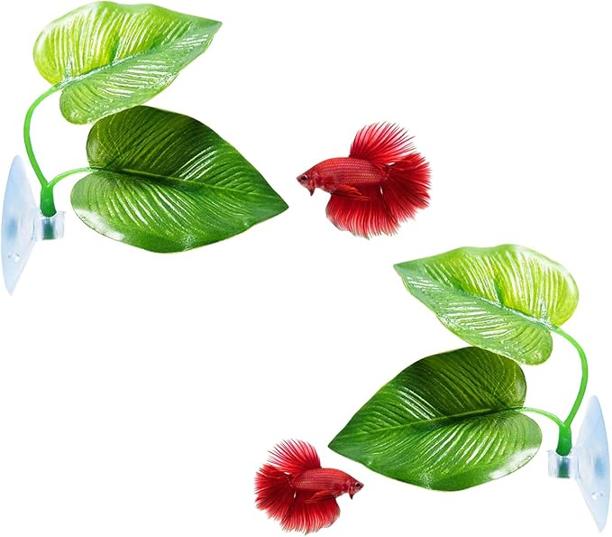CousDUoBe 2 Pack Betta Fish Leaf Pad Improves Betta's Health by Simulating The Natural Habitat - Natural, Organic, Comfortable Rest Area for Fish Aquarium Ornaments