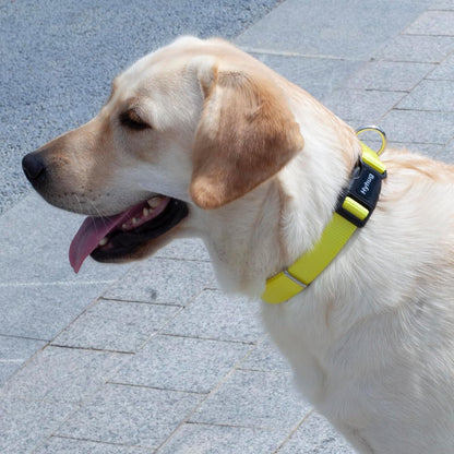 Hyhug Small Dog Collar Quick-Release Yellow| Heavy-Duty Nylon Puppy Collar, Adjustable & Durable Pet Supplies for Boy & Girl Dogs (Small, Illuminating Yellow)