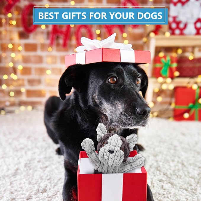 Plush Dog Squeak Toys with Crinkle Paper - Pull Interactive Tug of War Dog Toy, Great for Dental Health, Strengthening Bonds and Anxiety Relief for Puppies, Small, Medium, Large Dogs