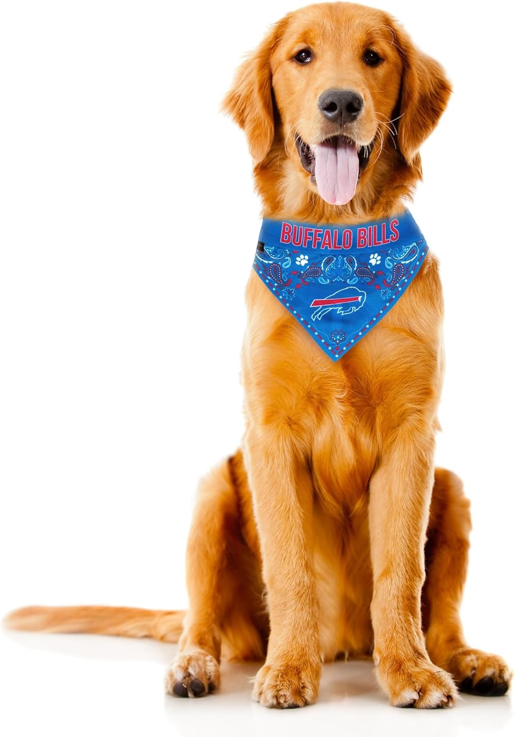 Littlearth NFL Pet Bandana - Reversible