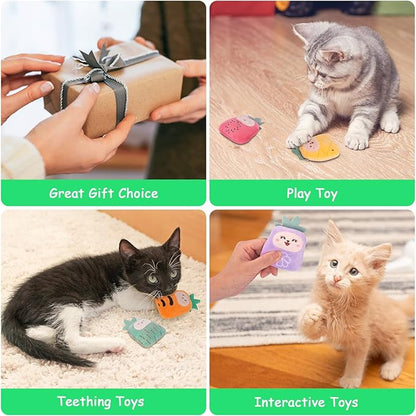 6 Pack Cat Toys Pineapple, Catnip Kitten Toys for Indoor Cats Kitty, Interactive Cat Nip Chew Kicker Toy for All Pet Breed