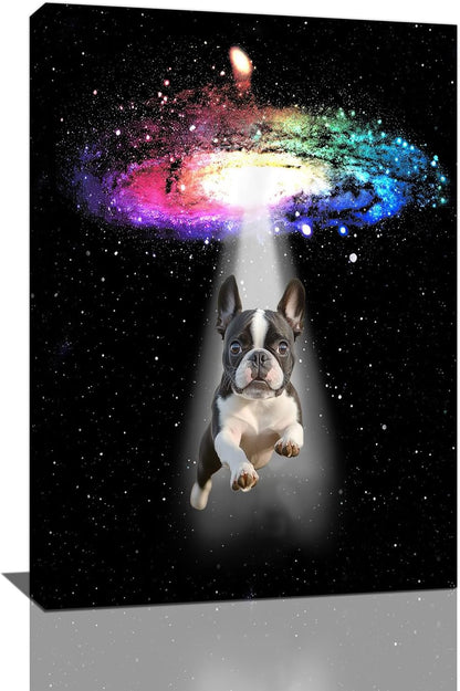 Funny Dog Wall Art Canvas Boston Terrier Wall Decor Prints Framed Painting Bulldog Galaxy Pictures Gifts Artwork for Bathroom 16"x24"