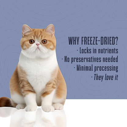 Whole Life Cat Just One Turkey Freeze Dried Cat Treats - Human Grade High Protein Food, Healthy Training Snacks, Freeze Dried Turkey Food Toppers, USA Made Natural Treats - 1.2 oz (Pack of 1)