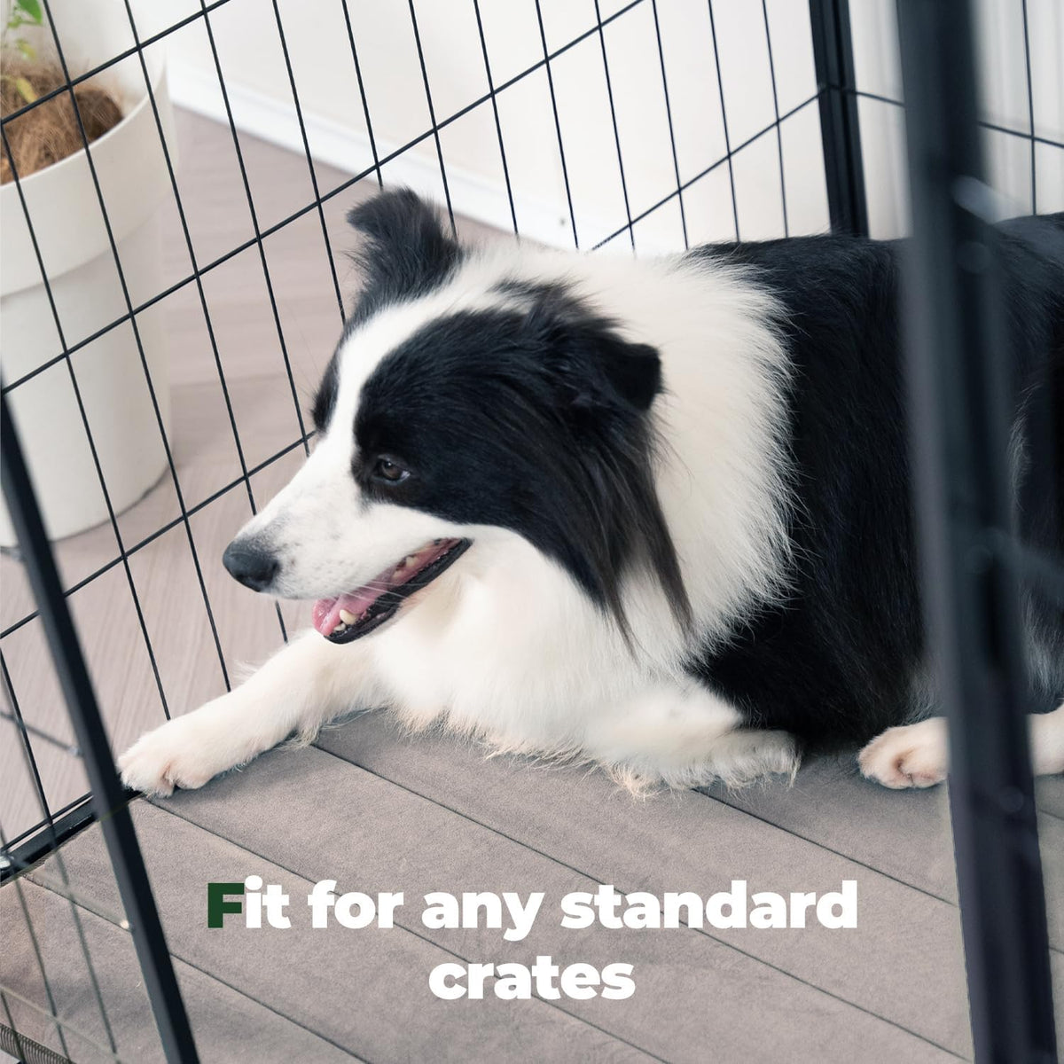 BALANCE Dog Crate Pad, Dog Foam Crate Mat Kennel Pad, Washable Water-Resistant Pet Bed Flat Dogs Cage Mat for X-Large Dogs