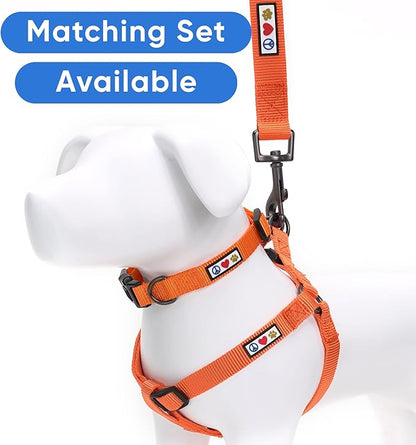 Pawtitas 6 FT Comfortable Leash - Solid Color, Extra Small to Small Sizes, Orange, Ideal for Puppy Training