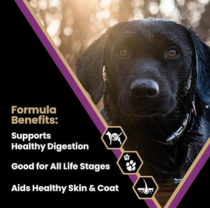 VICTOR Super Premium Dog Food – Professional Kibble Food – Super Premium Kibble with 26% Protein – Gluten-Free with Beef, Chicken & Pork Meals – for High Energy and Active Dogs & Puppies, 5lbs